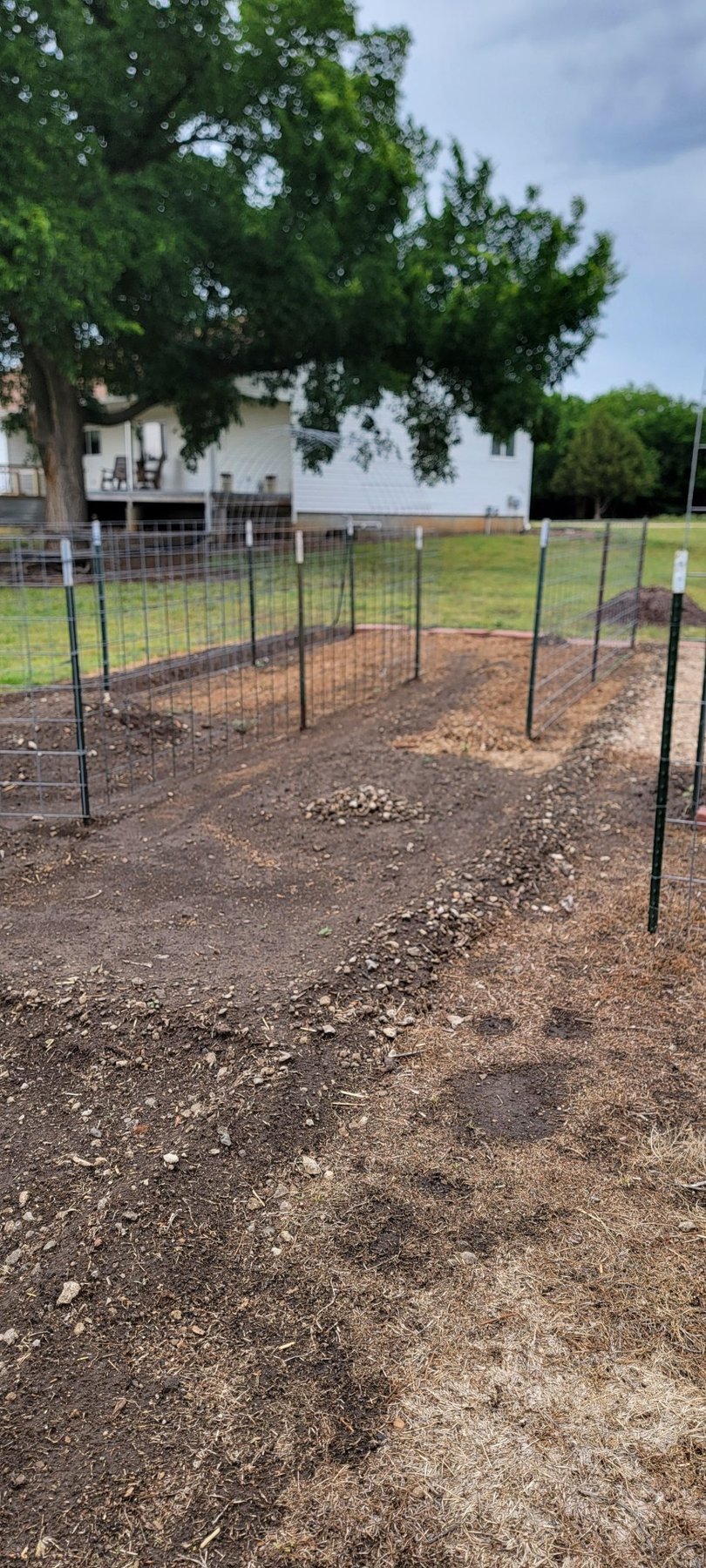 The garden plot early in the season, by the farmhouse